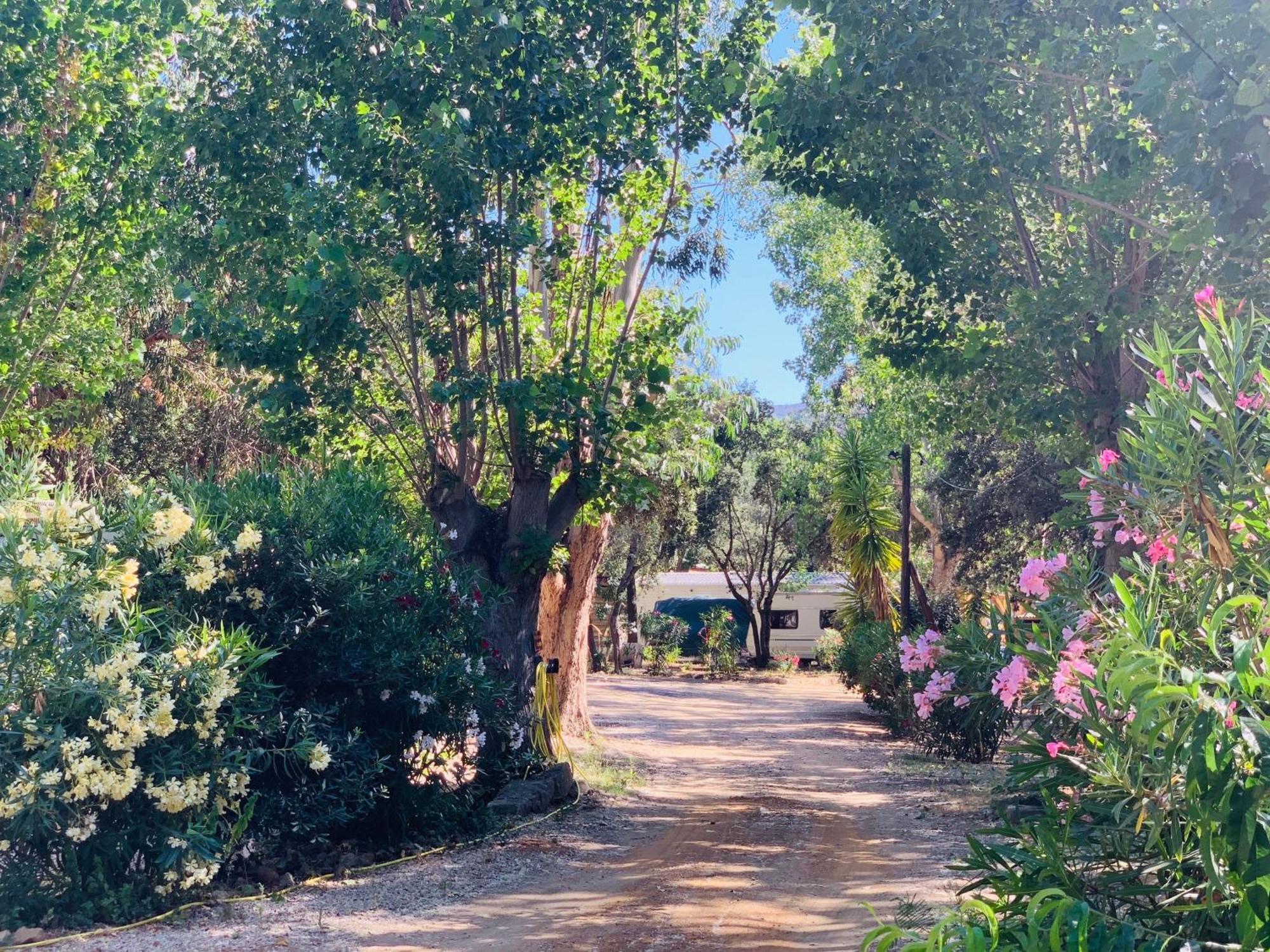 Location Du Ranch Parque de Campismo *