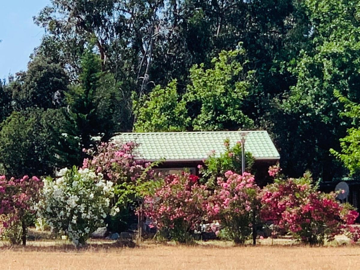 Location Du Ranch Camping *