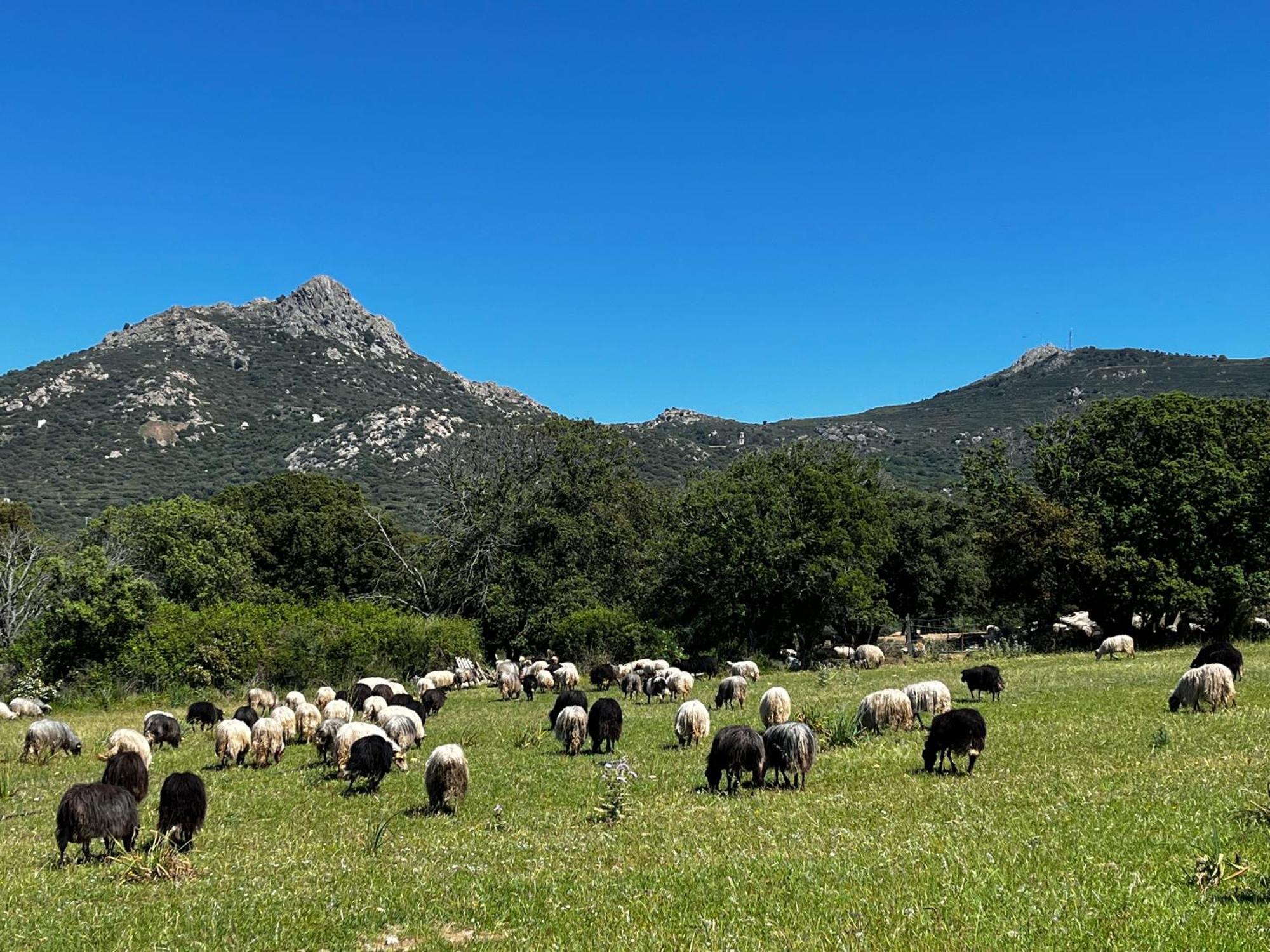 Location Du Ranch Camping *